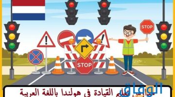 تعليم السياقة في هولندا