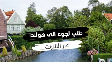 تقديم طلب لجوء إلى هولندا عبر الانترنت