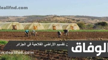 شروط تجزئة الأراضي الفلاحية في الجزائر