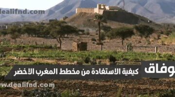 كيفية الاستفادة من مخطط المغرب الاخضر