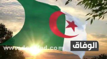 أفضل مشروع صناعي مربح في الجزائر