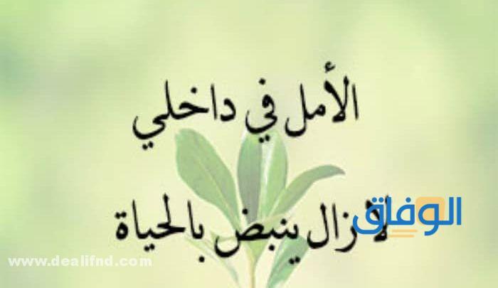 +100 اروع (كلام جميل عن الحياة والحب) 2024