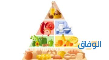الهرم الغذائي