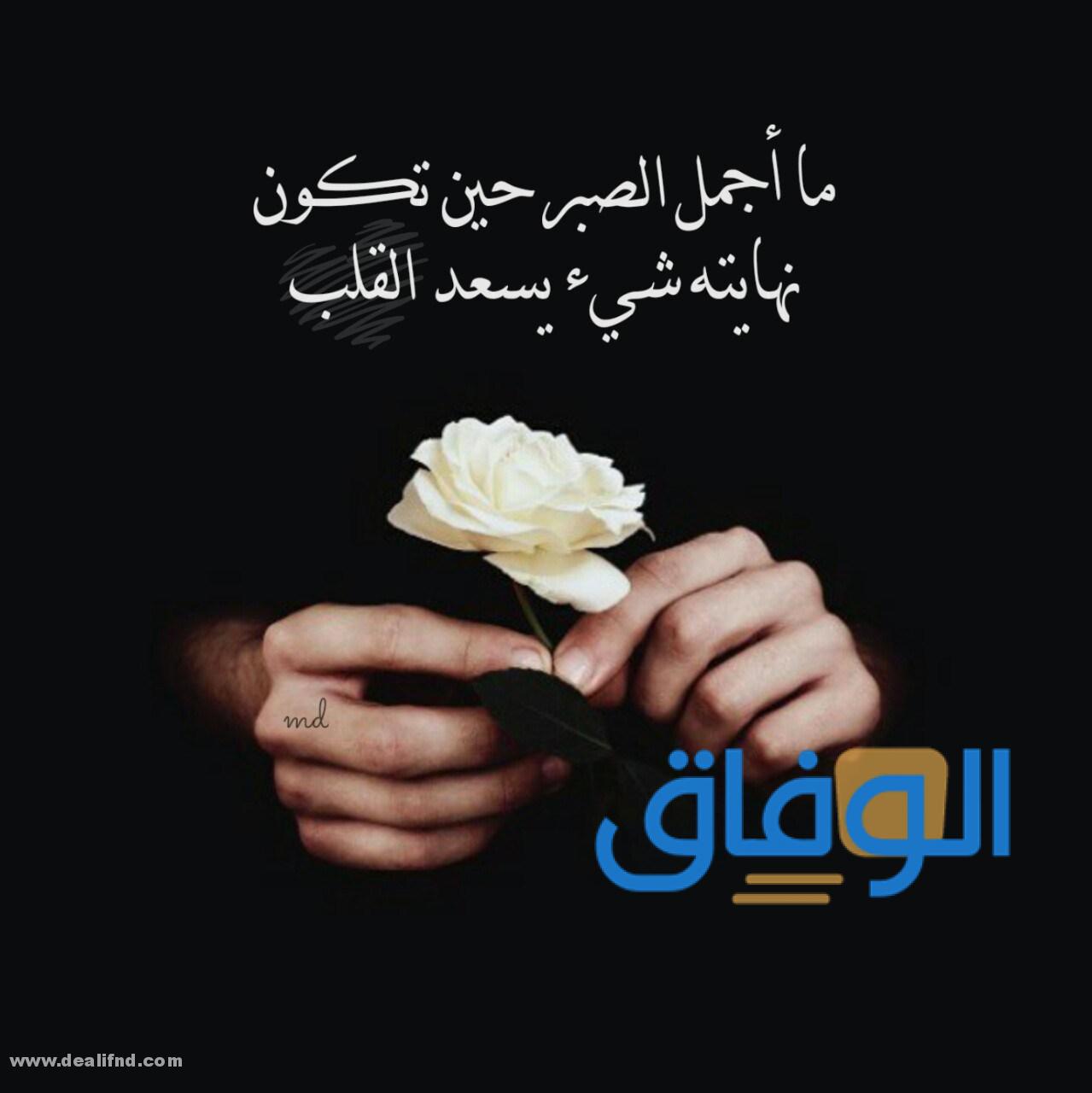 خلفيات عبارات جميلة