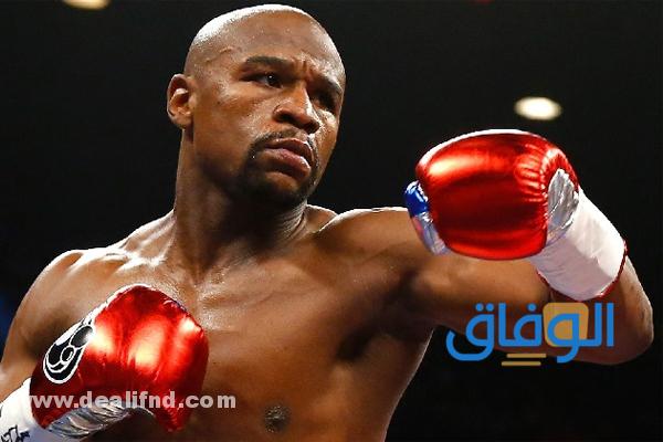 صور وخلفيات الملاكمين