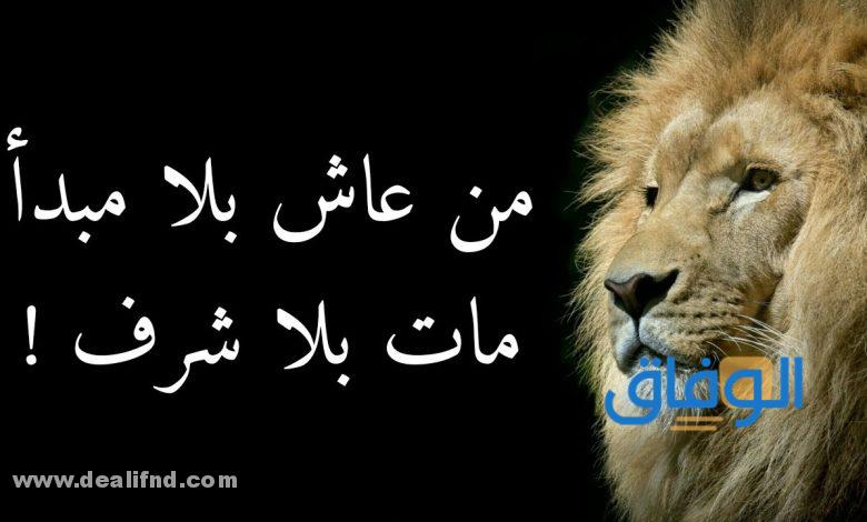 حكم عن الناس بوجهين