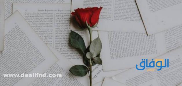 +80 أجمل عبارات عن الوفاء | جديدة وحصرية 100%