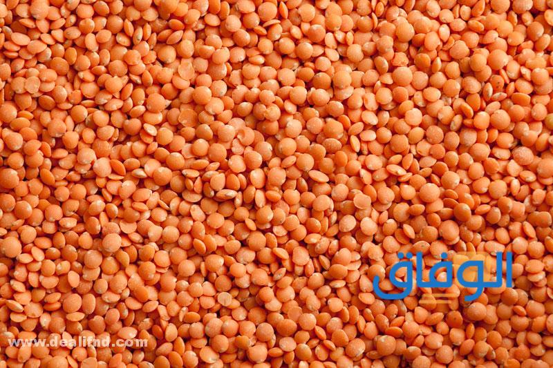 فوائد العدس البرتقالي
