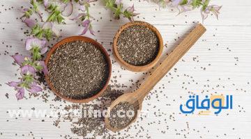 مكملات غذائية