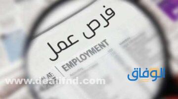 وظائف حكومية في قطر للاجانب 2024 خدمات قطر