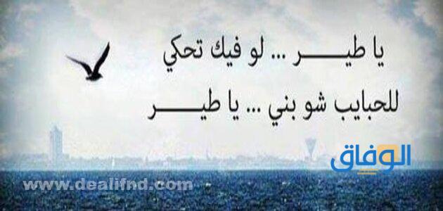 كلام حب للحبيب