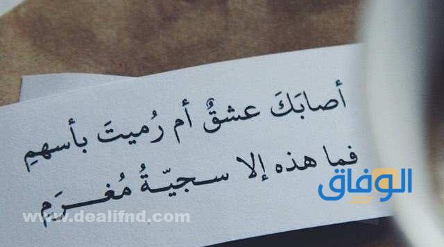 اقتباسات وخواطر عن الحب