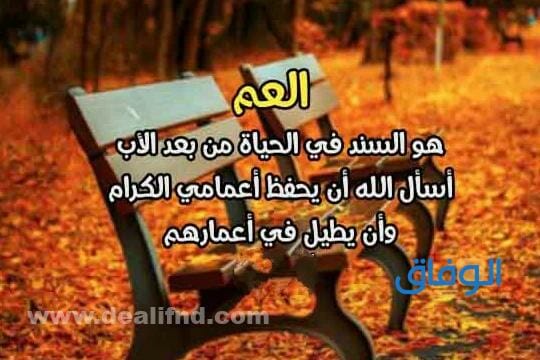 كلام عن العم