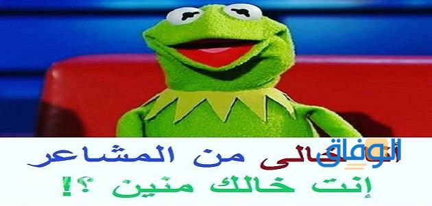 اجمل الصور في العالم المضحكة