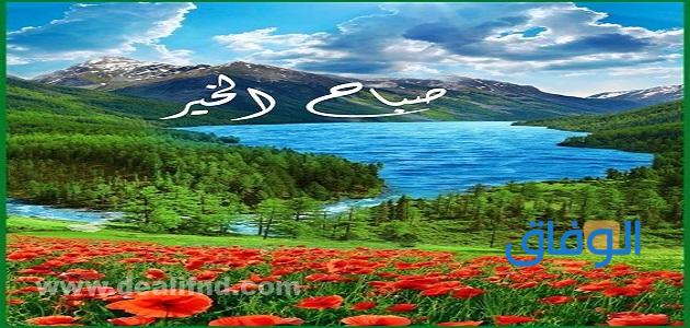 صباح الخير منظر جميل