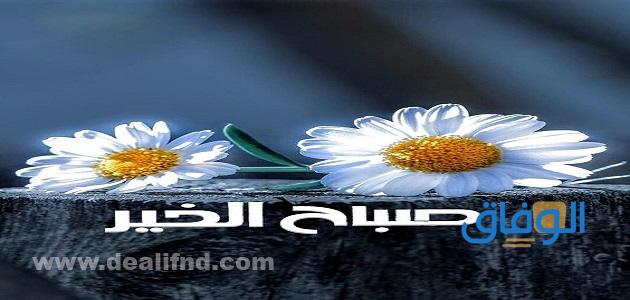 صور عن الصباح | +99 رمزيات صباح الخير للأحباب