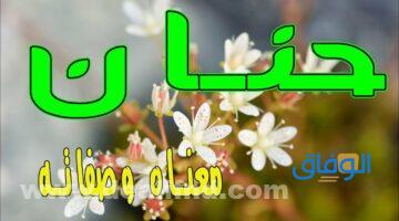 معنى اسم تيا