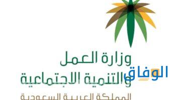 استعلام عن وافد