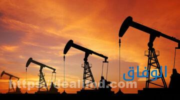 الأوراق المطلوبة للعمل بالحصة في المدارس