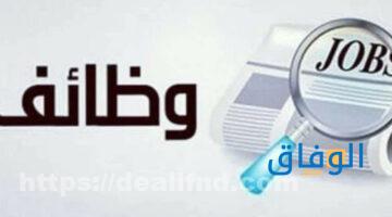 وظائف شركات بالقاهرة