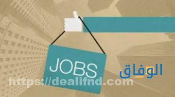 وظائف شركات في مصر