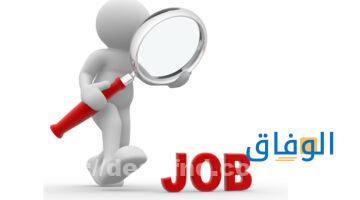 وظائف شركات قطاع خاص