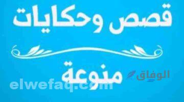 قصص وحكايات كاملة | أفضل 5 قصص قبل النوم مسلية