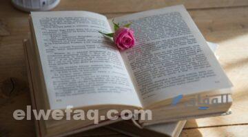 روايات رومانسية جديدة | 3 روايات مسلية وممتعة