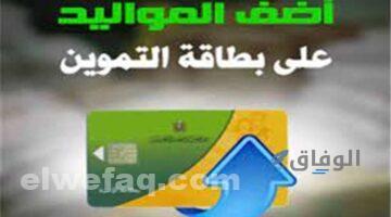 خدمات مصر