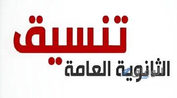 خدمات مصر
