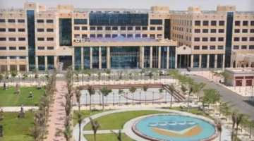خدمات مصر